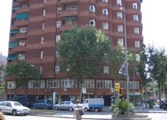 Taula rodona informativa per als Tcnics Esportius